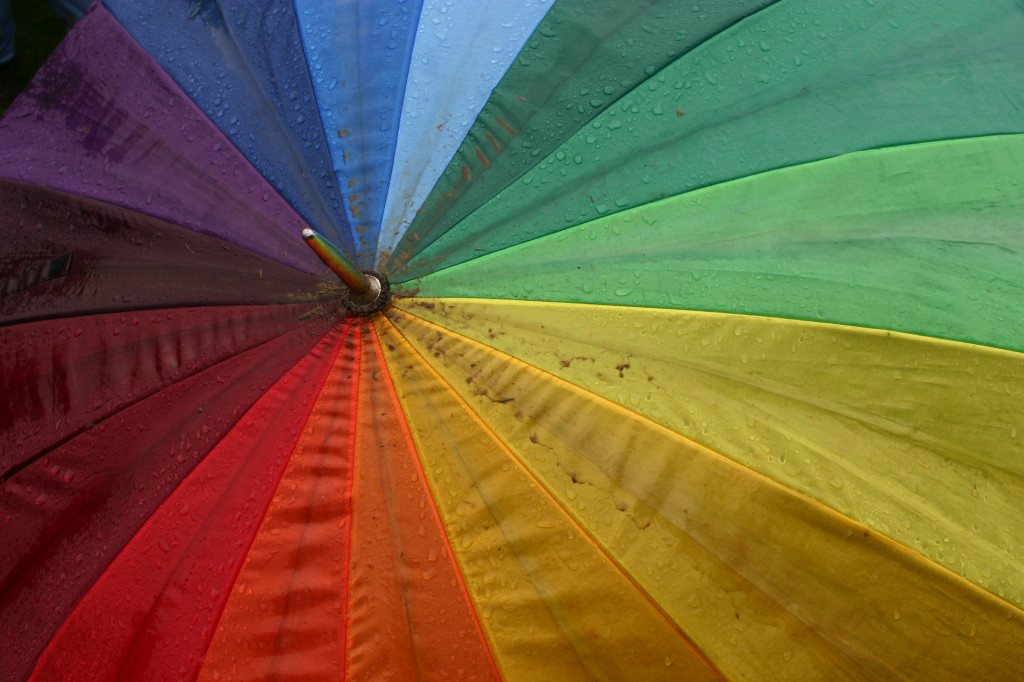 group exemption umbrella cullinane law