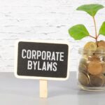 What are Nonprofit Bylaws?