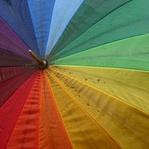 Colorful umbrella with sections of red, orange, yellow, green, blue, and purple, covered in raindrops—like a vibrant symbol under an umbrella organization offering group exemption status.