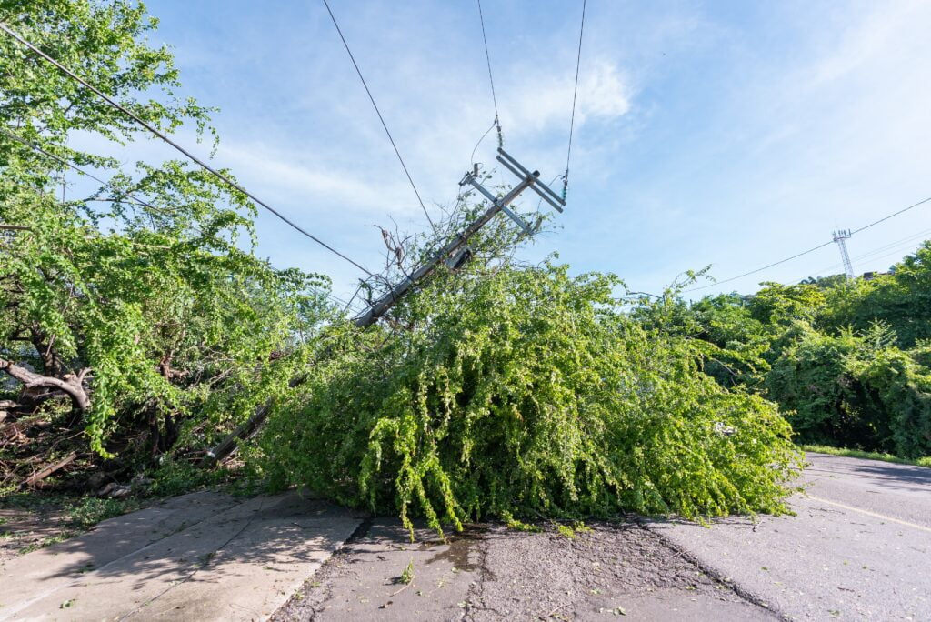 Downed,Power,Pole,After,Hurricane,Passes,Through disaster relief for employees
